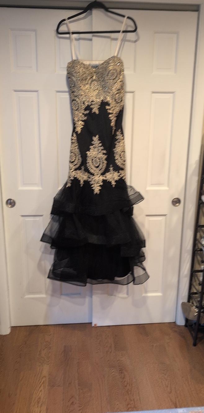 Night Studio David’s Bridal Embroidered Mermaid Gown Size 14 Unaltered